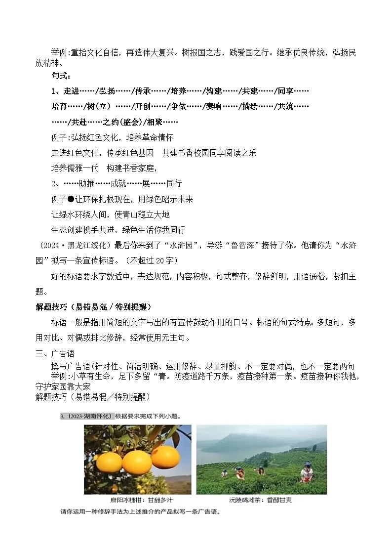 2026年中考语文综合性学习复习：语言运用 答题模板 学案第3页