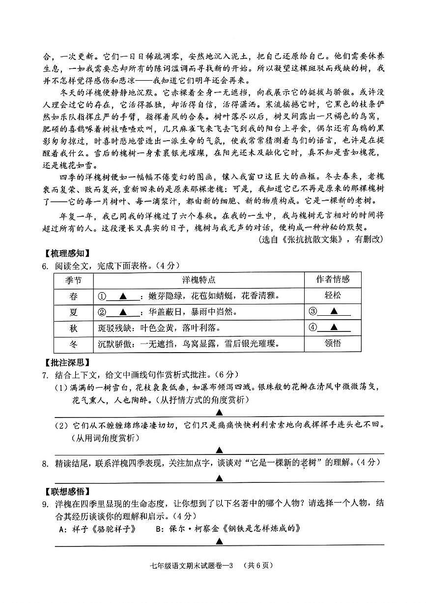 浙江省金华市兰溪市2024-2025学年七年级下学期期末考试语文试题第3页