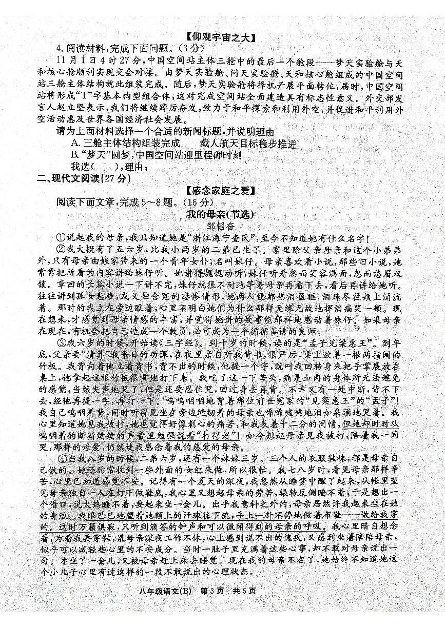 河南省安阳市林州市2024-2025学年八年级上学期期中调研语文试卷第3页