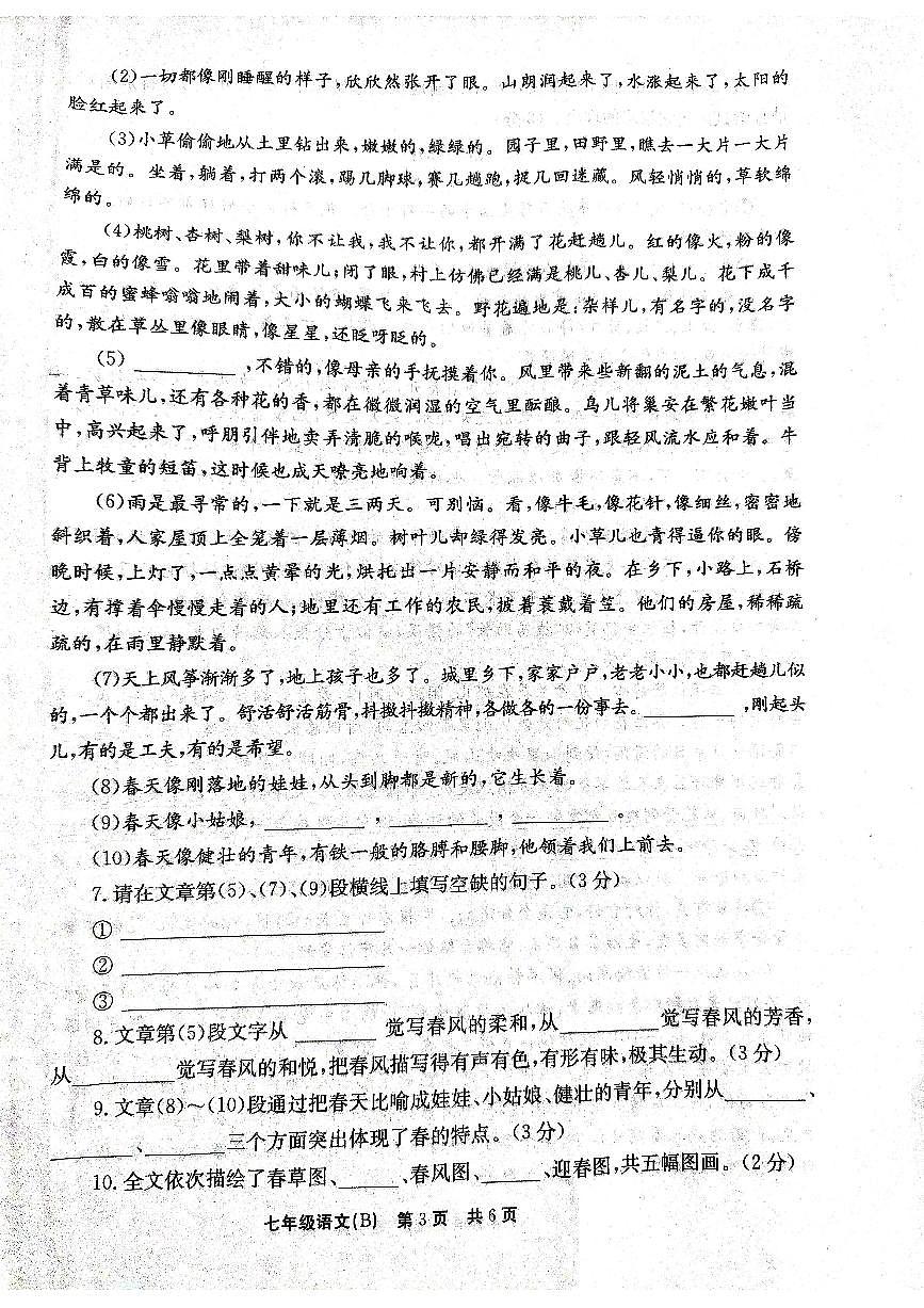 河南省安阳市林州市2024-2025学年七年级上学期第一次月考语文试题第3页