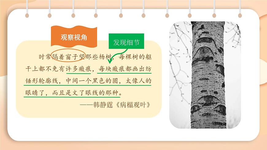 2025-2026学年度统编版语文七年级上册第一单元写作：热爱生活，热爱写作（课件）第5页