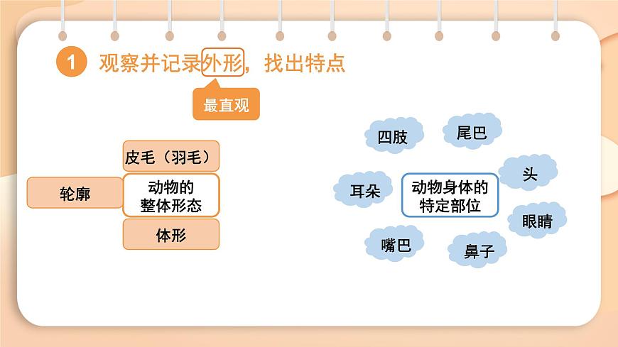 2025-2026学年度统编版语文七年级上册第五单元写作：记叙与动物的相处（课件）第4页