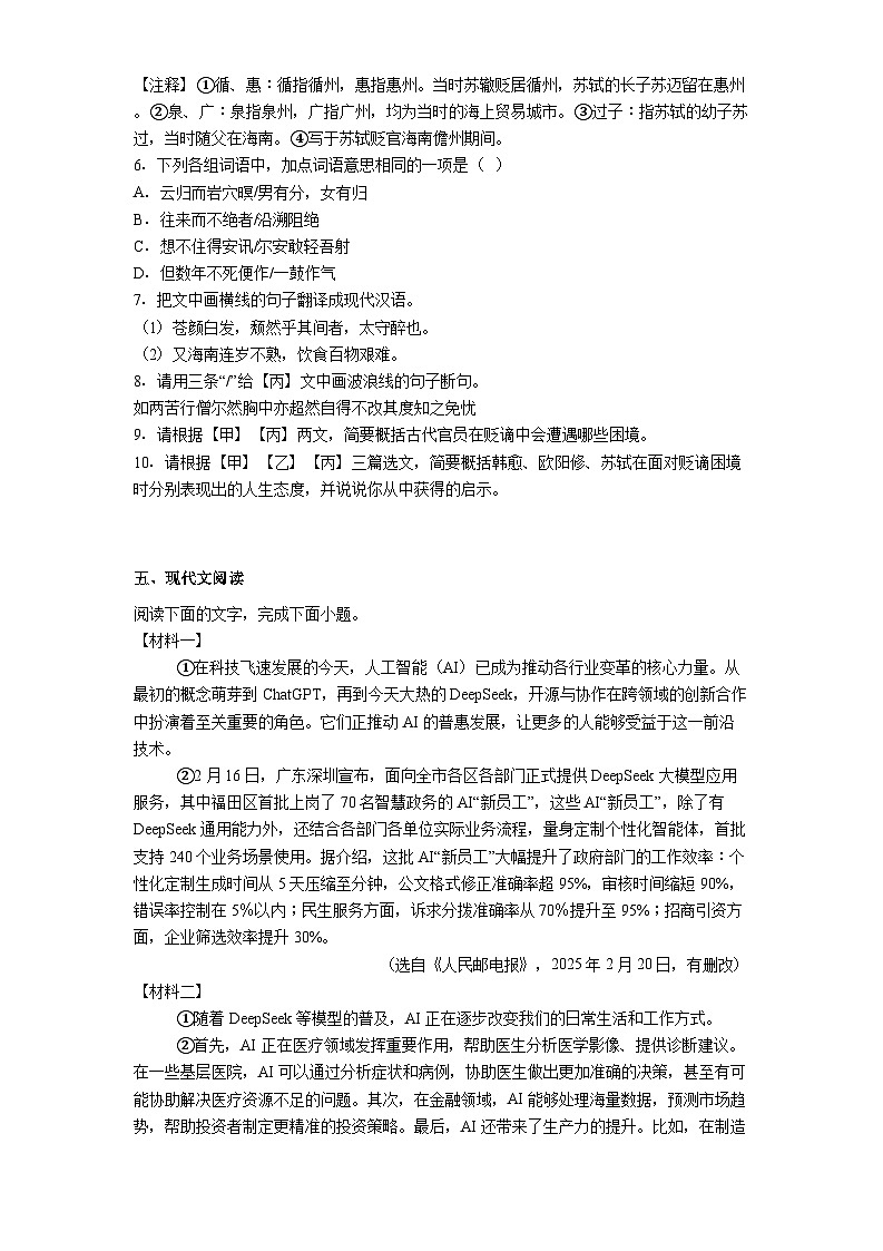 广东省湛江市雷州市四校联考2025年中考三模语文试题（含答案）第3页
