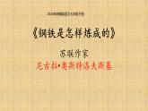 人教部編版語文七年級下冊  第五單元整本書閱讀《鋼鐵是怎樣煉成的》課件