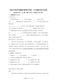 广东省惠州市惠阳区2024~2025学年九年级上学期期末语文试题（含解析）
