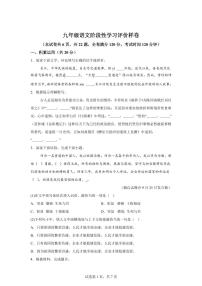 江苏省镇江市句容市2024~2025学年九年级上学期期末语文试题（含解析）