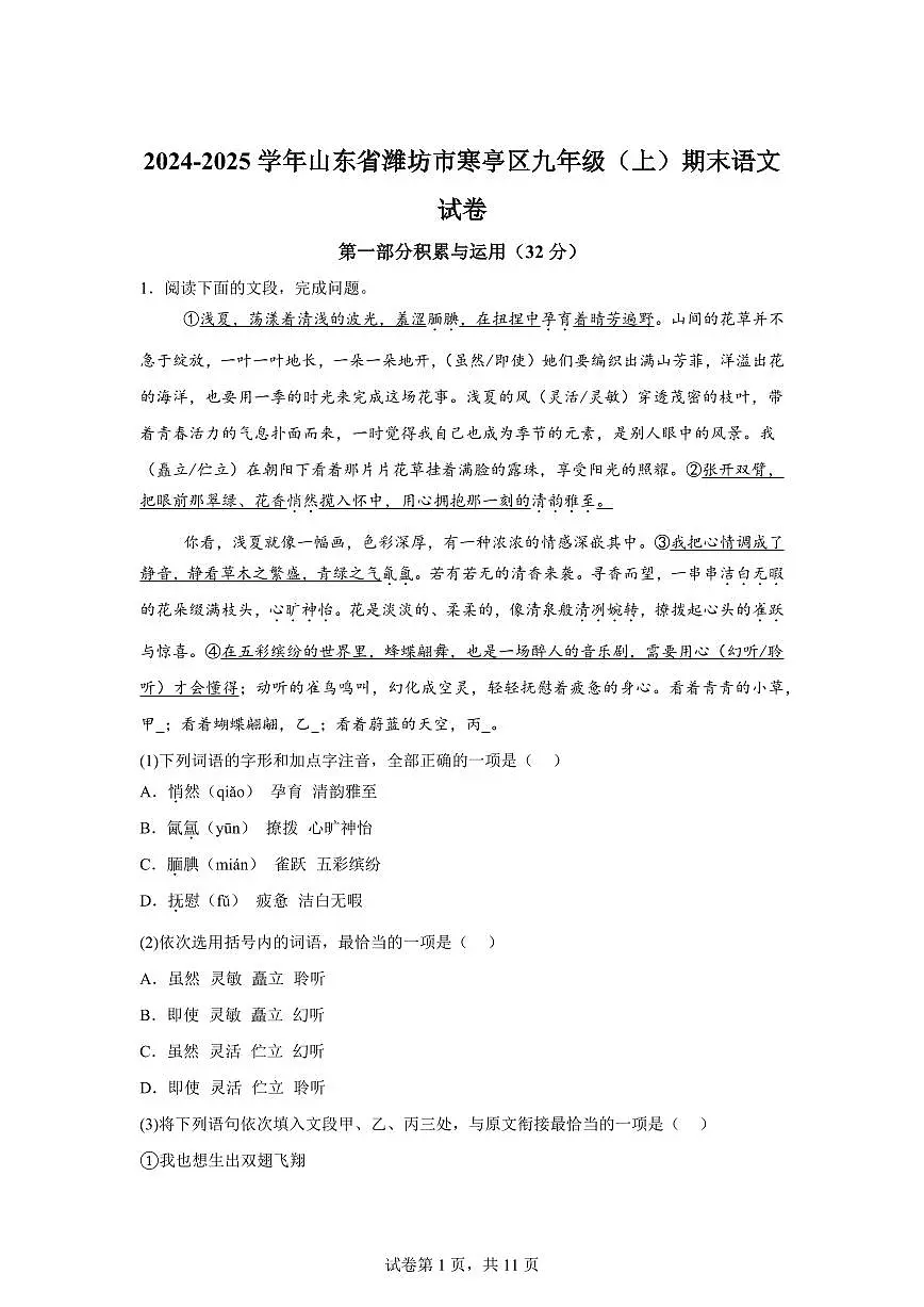 山东省潍坊市寒亭区2024~2025学年九年级上学期期末语文试题（含解析）第1页
