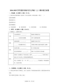 重庆市南川区2024~2025学年九年级上学期期末语文试题（含解析）