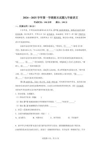 江苏省扬州市仪征市2024~2025学年九年级上学期1月期末语文试题（含解析）