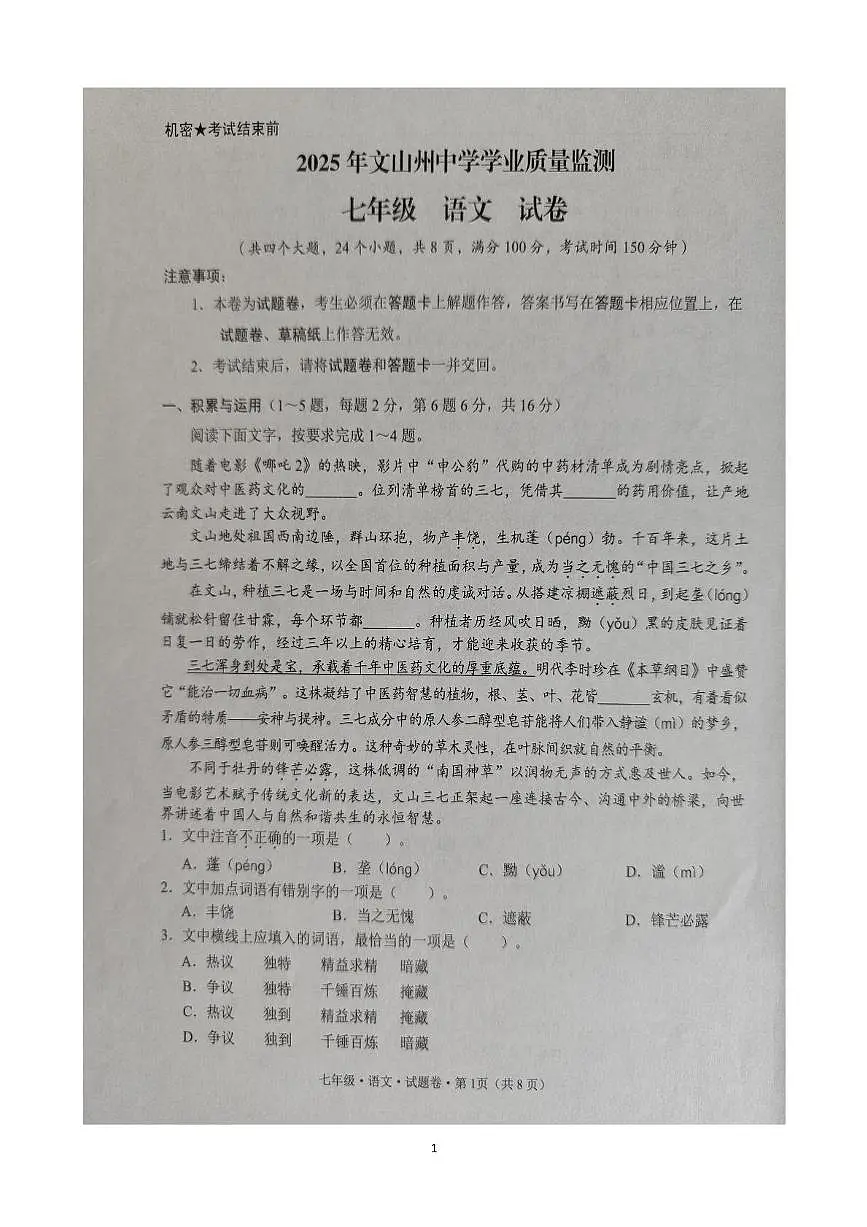 云南省文山州2024-2025学年七年级下学期期末语文试卷第1页