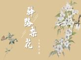 人教部編版語文七年級下14.《驛路梨花》課件