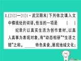 2025九年级语文上册期末专题复习二词语成语理解与运用作业课件新人教版