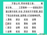2025九年级语文上册期末专题复习二词语成语理解与运用作业课件新人教版