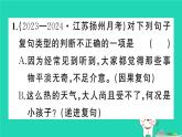 2025九年级语文上册期末专题复习三语法语病作业课件新人教版