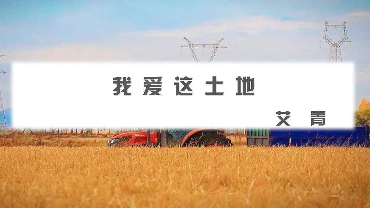 部编九年级云上册第一单元同步精品课件第3课《我爱这土地》（艾青）第6页