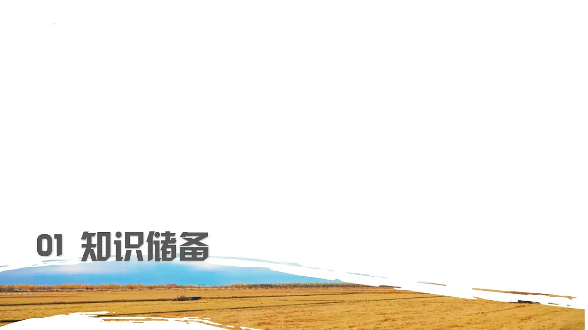 部编九年级云上册第一单元同步精品课件第3课《我爱这土地》（艾青）第8页