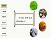 第4課《古代詩歌四首》課件統(tǒng)編版語文七年級上冊