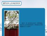 14驛路梨花   課件統(tǒng)編版七年級語文下冊