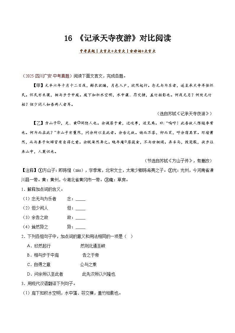 16. 《记承天寺夜游》对比阅读（解析版）-2026年中考语文之文言文对比阅读讲练（全国通用）第1页