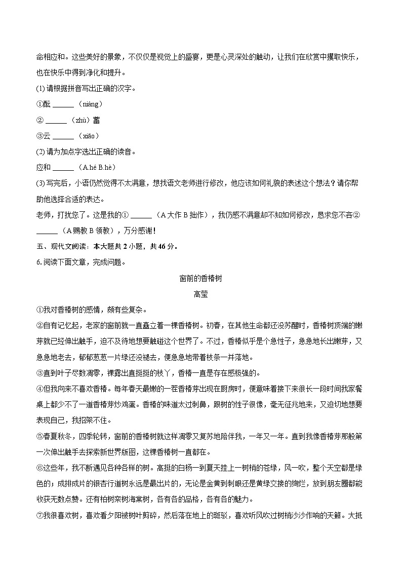 河北省石家庄市2024-2025学年八年级（下）期末语文模拟试卷第3页