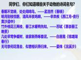統(tǒng)編版七年級(jí)語文上冊(cè)教學(xué)課件《第18課 我的白鴿》