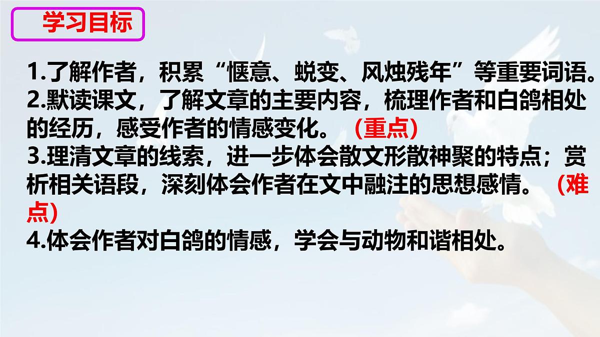 统编版七年级语文上册教学课件《第18课 我的白鸽》第4页