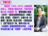 統(tǒng)編版七年級(jí)語文上冊(cè)教學(xué)課件《第18課 我的白鴿》