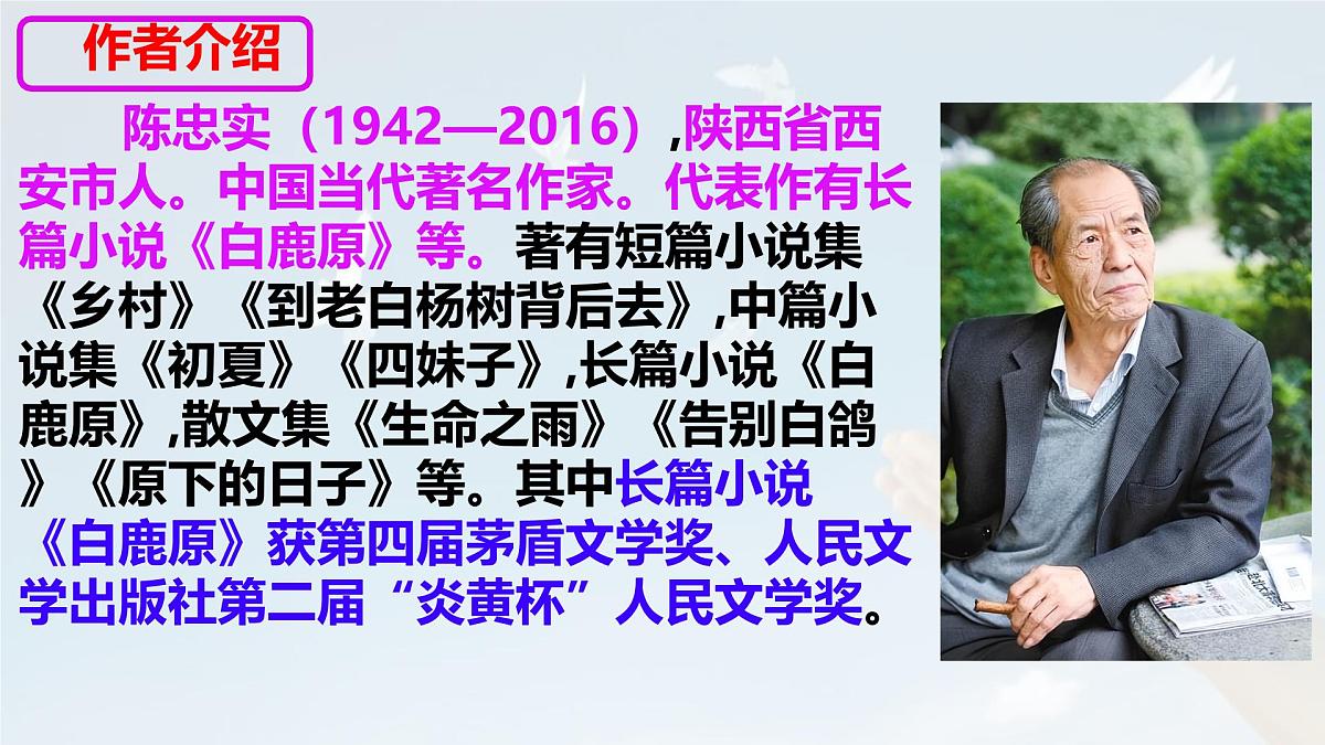 统编版七年级语文上册教学课件《第18课 我的白鸽》第5页