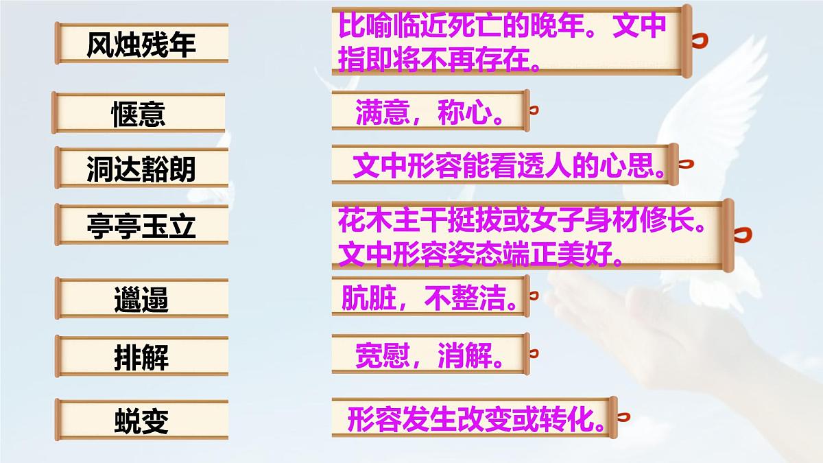 统编版七年级语文上册教学课件《第18课 我的白鸽》第8页