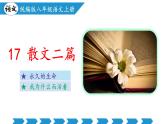 語文統(tǒng)編版（2024）八年級上冊 第4單元 第17課   散文二篇 課件+教案+導(dǎo)學(xué)案（學(xué)生版和教師版）+分層作業(yè)（解析版+原卷版）