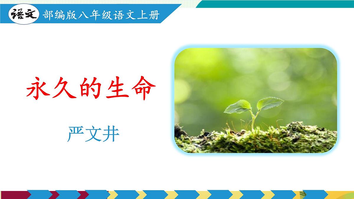 第17课   散文二篇（《永久的生命》《我为什么而活着》）（教学课件）第4页