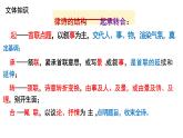 第14課《野望》課件  統(tǒng)編版語文八年級(jí)上冊(cè)