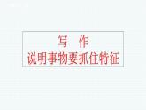 人教部編版八年級語文上冊教學課件第五單元  寫作 說明事物要抓住特征
