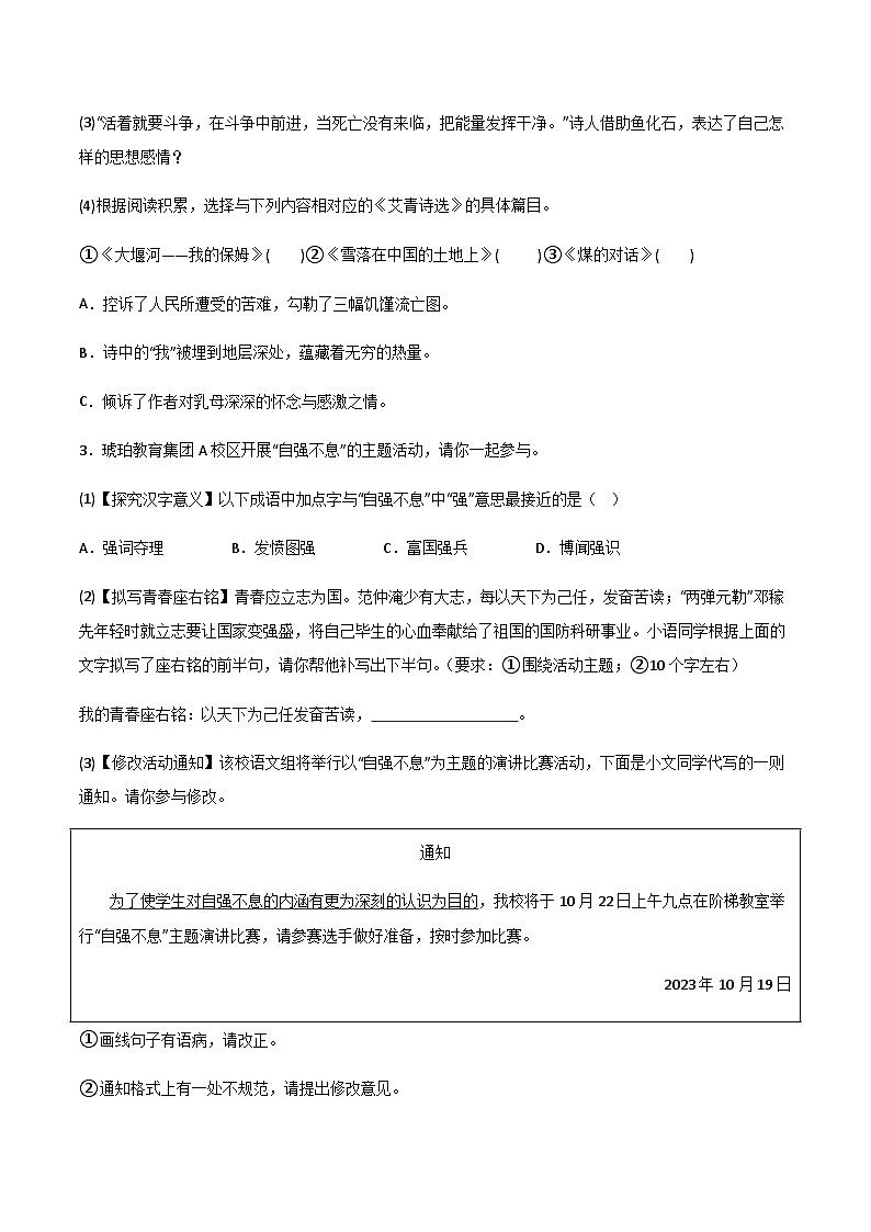 【9语上期中】安庆市望江县2023-2024学年九年级上学期期中语文试题第2页
