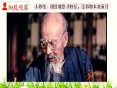 部編八年級上語文第五單元課件寫作 說明事物要抓住特征