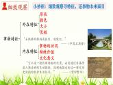 部編八年級上語文第五單元課件寫作 說明事物要抓住特征