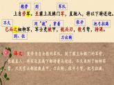部編八上語文第六單元課件25 周亞夫軍細(xì)柳（司馬遷）