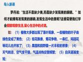 部編版七上語文第一單元寫作《熱愛生活，學(xué)會(huì)觀察》同步課件