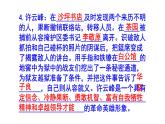 人教部編版八年級上語文名著閱讀《紅巖》必背知識點PPT版