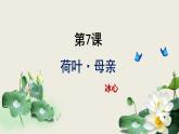 部編版七上語(yǔ)文第7課《散文詩(shī)二首》之《荷葉·母親》同步課件+素材