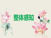 部編版七上語(yǔ)文第7課《散文詩(shī)二首》之《荷葉·母親》同步課件+素材