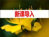 部編版七上語文第7課《散文詩二首》之《金色花》同步課件+素材