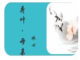 第7課《散文詩(shī)二首——荷葉·母親》課件 2025—2026學(xué)年統(tǒng)編版語(yǔ)文七年級(jí)上冊(cè)