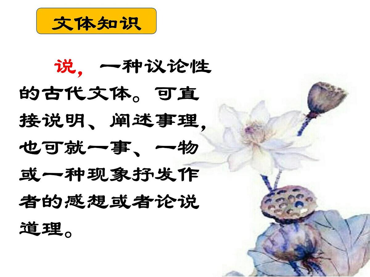 第17课《爱莲说》课件2024-2025学年统编版语文七年级下册第3页