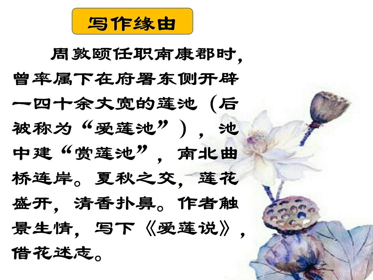 第17课《爱莲说》课件2024-2025学年统编版语文七年级下册第5页