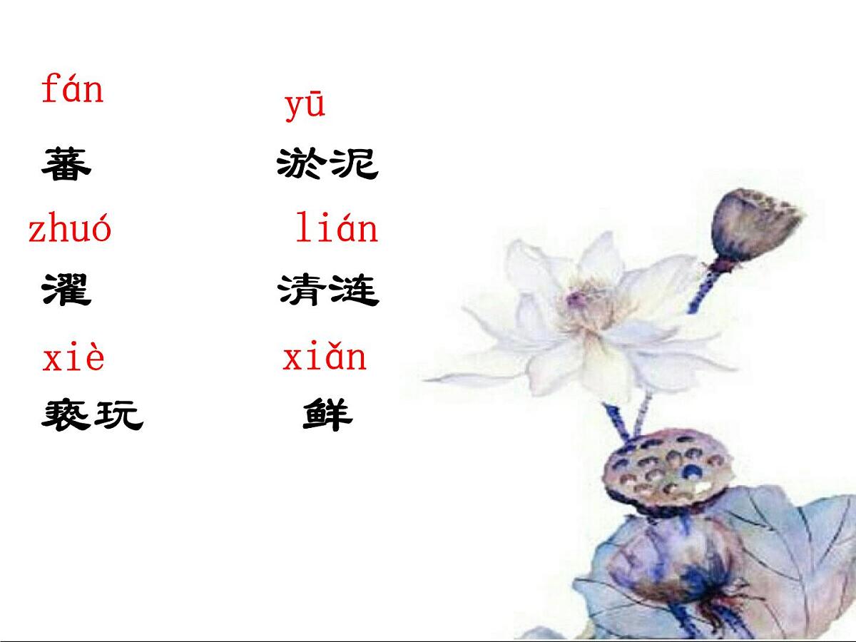 第17课《爱莲说》课件2024-2025学年统编版语文七年级下册第6页