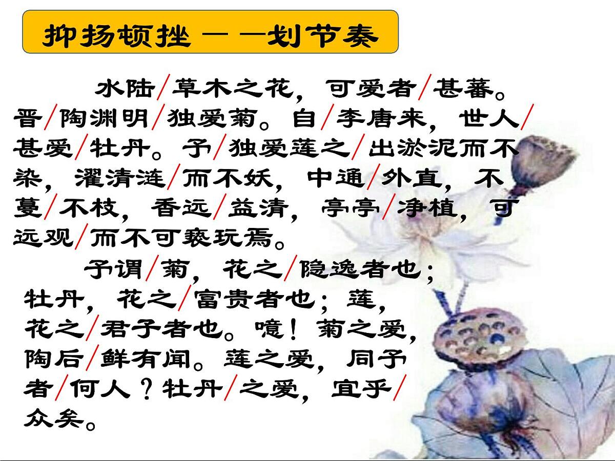 第17课《爱莲说》课件2024-2025学年统编版语文七年级下册第7页