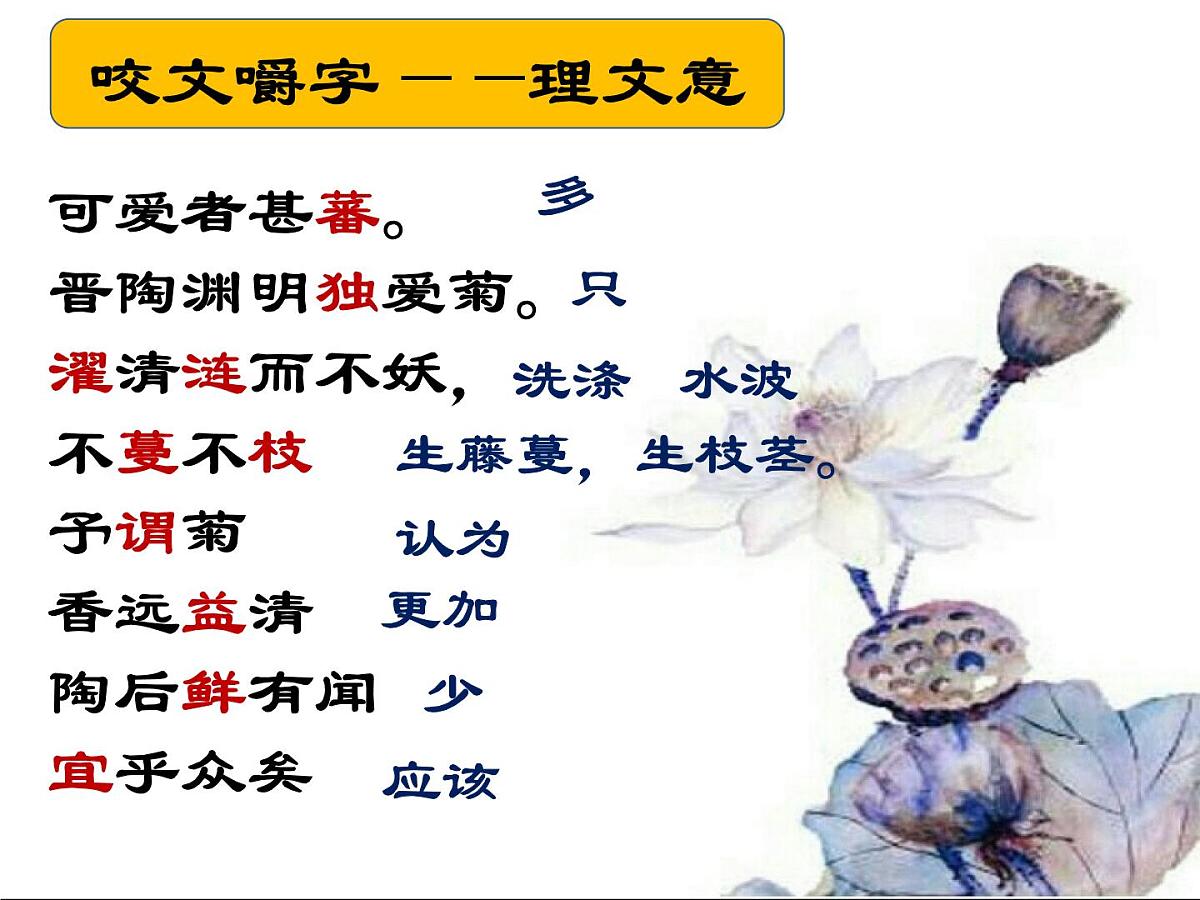 第17课《爱莲说》课件2024-2025学年统编版语文七年级下册第8页