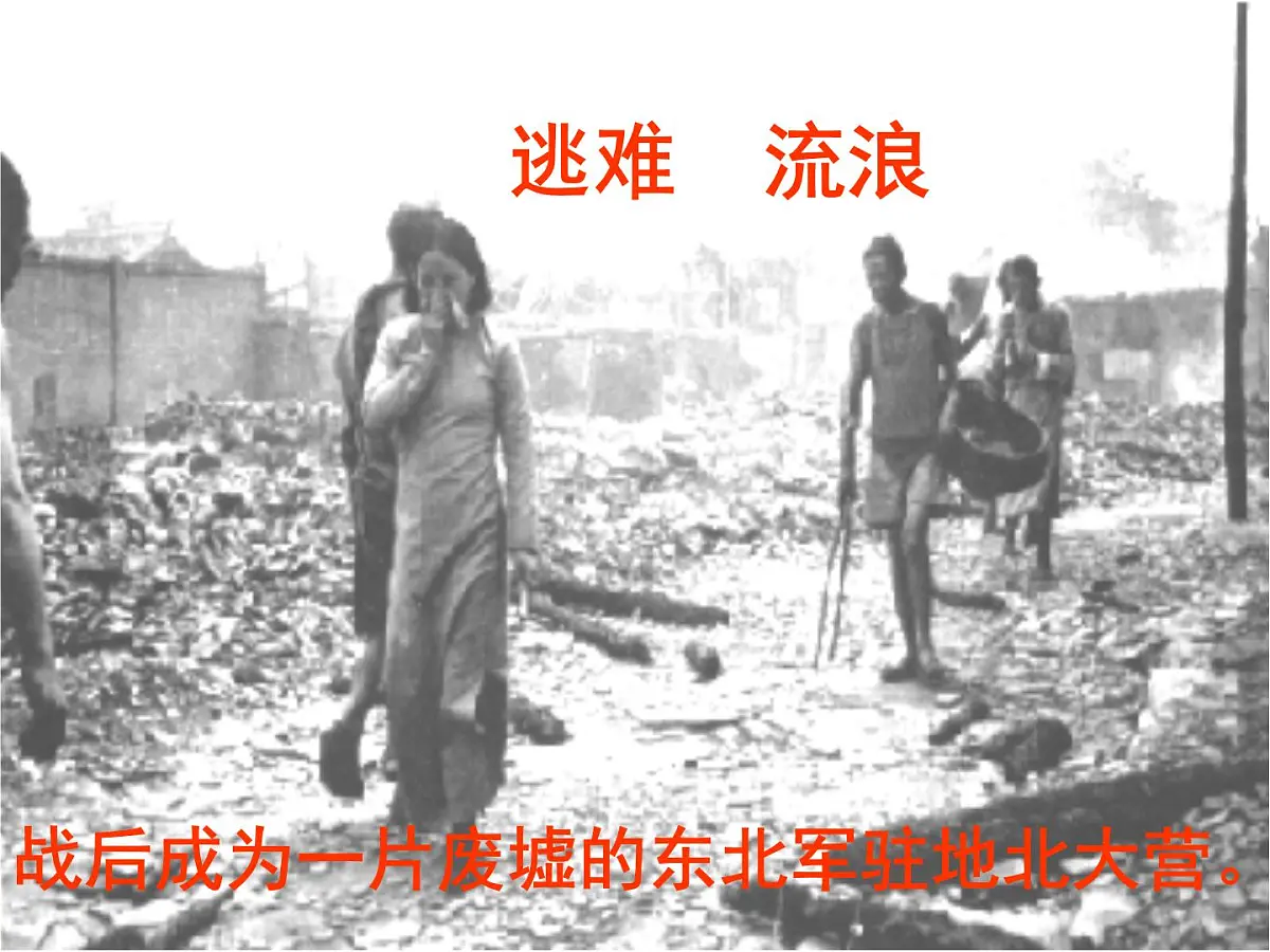 第8课《土地的誓言》课件-2024-2025学年统编版语文七年级下册第6页