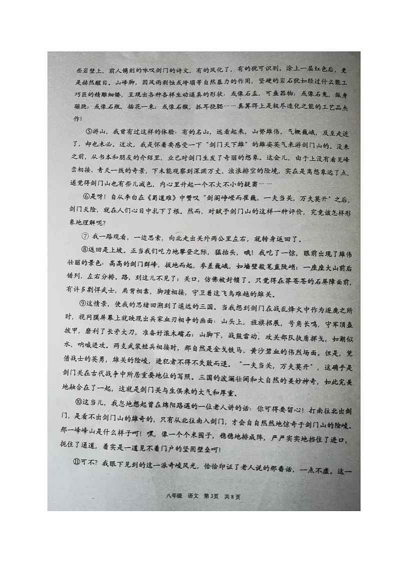 河南省实验中学2024-2025学年八年级下学期期末考试 语文试卷第3页